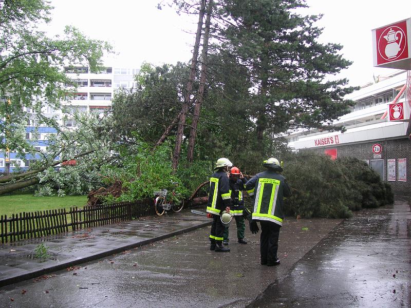 Holzweg.JPG